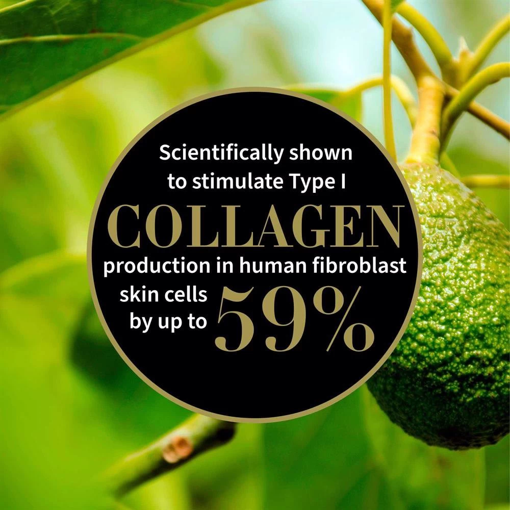 Αντίποδες Antipodes Organic Rejoice Light Facial Day Cream 60ml 3 Αντίποδες Antipodes Organic Rejoice Light Facial Day Cream 60ml - Image 3